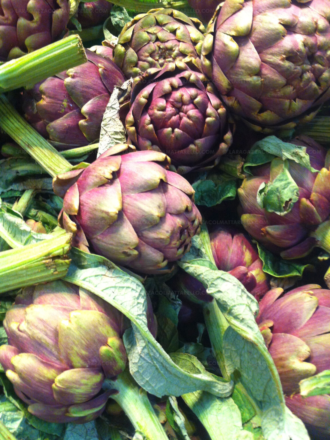 Roman style artichokes (carciofi alla romana) La ragazza col mattarello